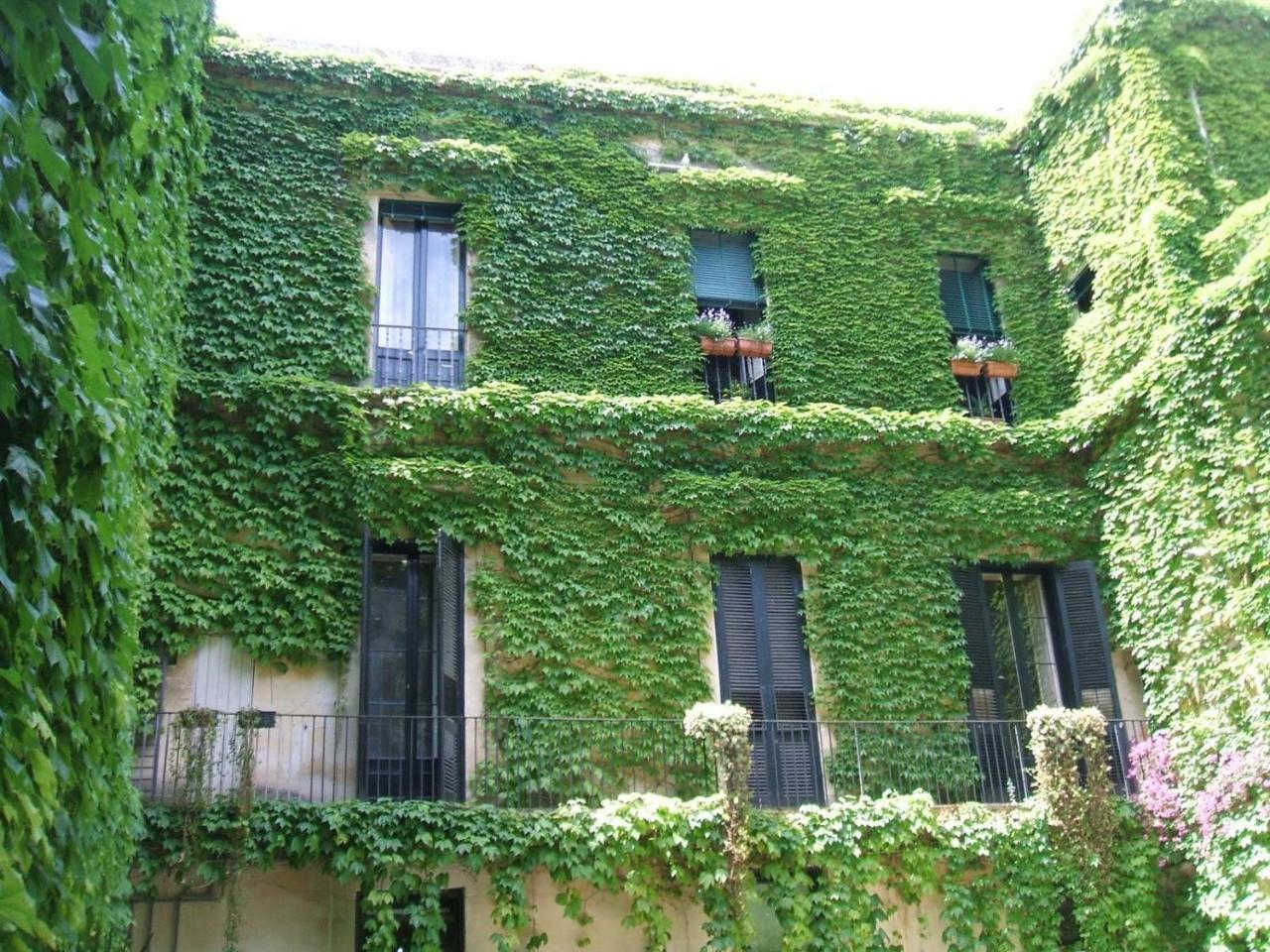 Palazzo Rollo Bed & Breakfast Lecce Bagian luar foto